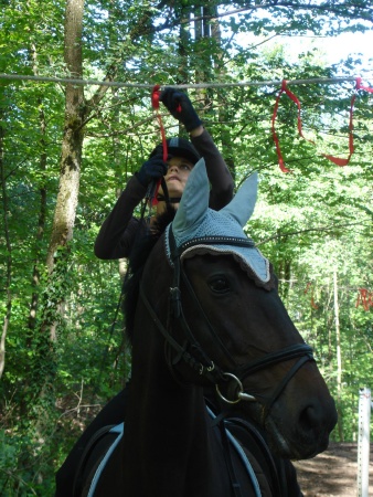 DSC06502 - HOMEPAGE.JPG